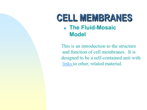 cell membranes - people.vcu.edu
