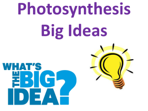 Big Ideas Photosynthesis