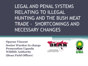 LEGAL AND PENAL SYSTEMS RELATING TO ILLEGAL HUNTING