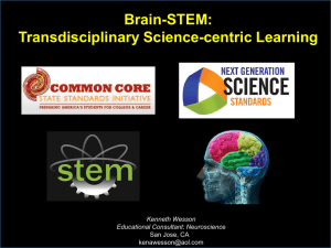 Brain-STEM: Transdisciplinary Science