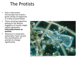 Lecture 7 - Kingdom Protista