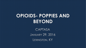 Opiates- Poppy's and beyond