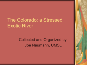 The Colorado: a Stressed Exotic River