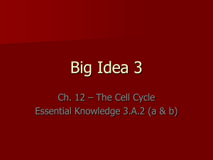 Big Idea 2 - byrdistheword