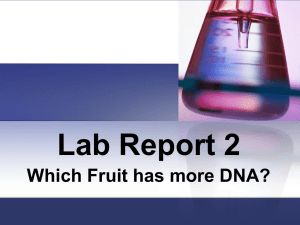 Lab Report 2_Fruit_DNA