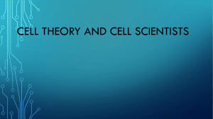 cell - Bogdan biology