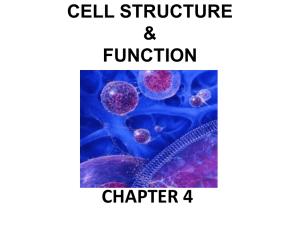 CELL STRUCTURE & FUNCTION - Doral Academy Preparatory