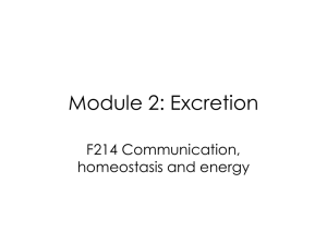Module 2: Excretion