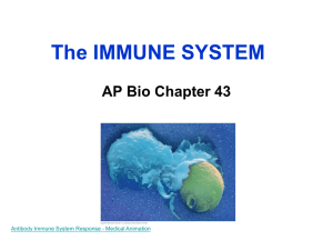 AP Chap 43 The IMMUNE SYSTEM right one