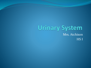 Disorders of the urinary system