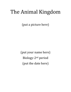 The Animal Kingdom (put a picture here) (put your name here