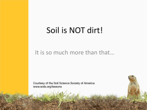 Soil is NOT dirt!