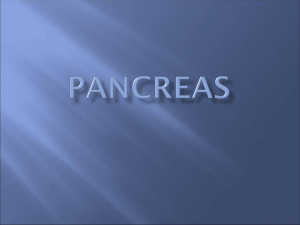 pancreas - Caangay.com