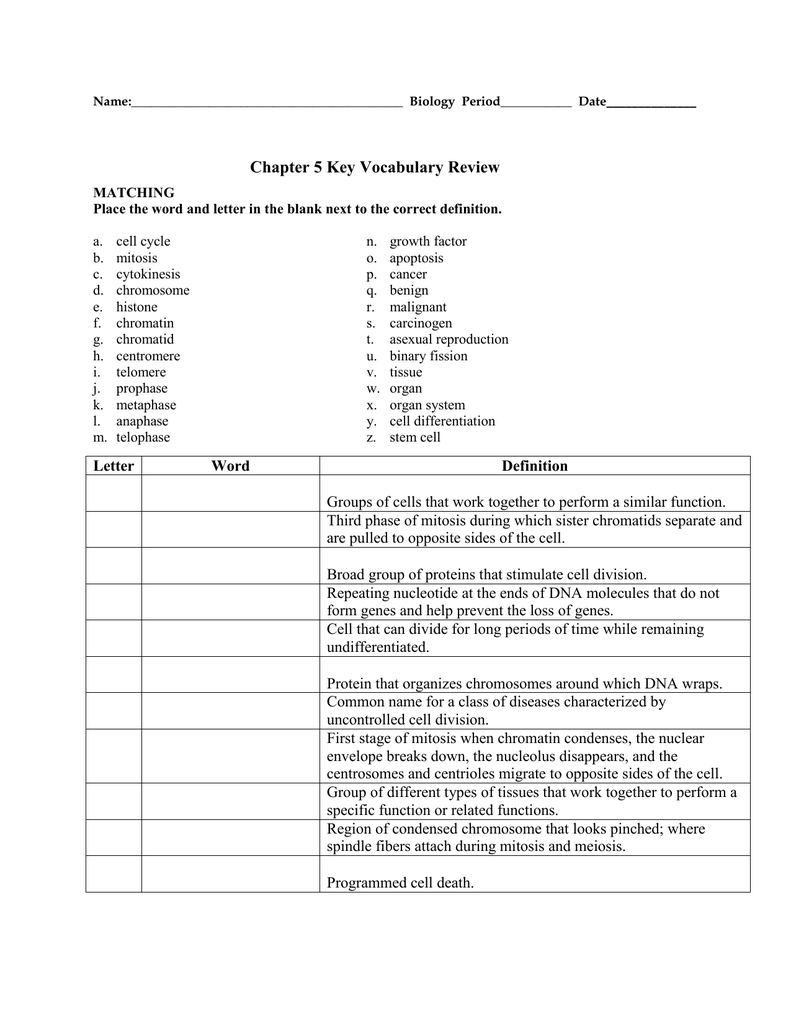 Biology Chapter 25 Key Vocabulary Worksheet Intended For Meiosis Worksheet Vocabulary Answers