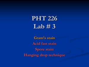 PHT 381 Lab # 3