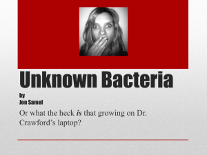 Unknown Bacteria by Jon Samel