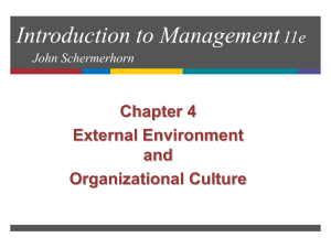 Chapter 4: Environment, Organizational Culture and Diversity