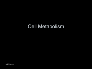 16-18 Cellular respiration