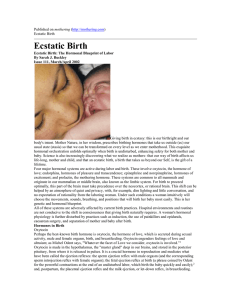Esctatic Birth - Protecting Normal Birth