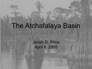 5. Atchafalaya Basin