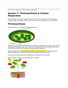 Section 1: Photosynthesis & Cellular Respiration