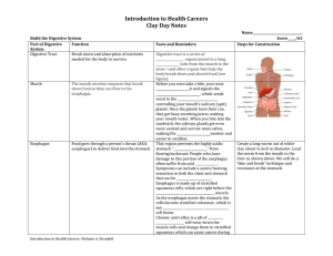 File - Introduction to Health Careers