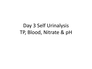 Day 3 TP, Blood, Nitrate, pH Self UA