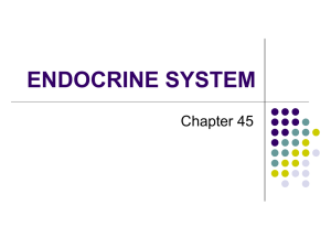 Hormones and Endocrine System