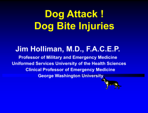 Dog Bite Injuries