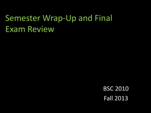 Final Exam Review PowerPoint