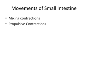 Movements of Small Intestine - mbbsclub.com
