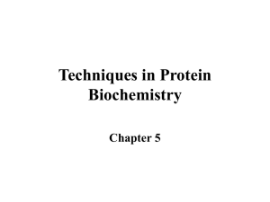 Biochem Lecture 5 9/11/01
