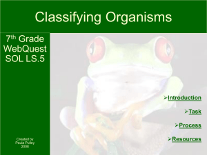 Classifying Organisms - Suffolk Teaching Activities & Resources