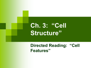 Ch. 3: “Cell Structure”