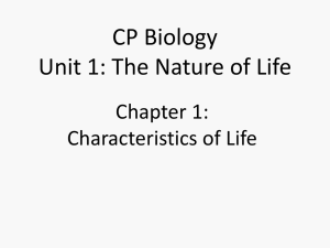 CP Chapter 1 Power Point