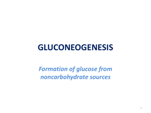 GLUCONEOGENESIS