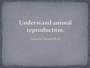 Understand animal reproduction.