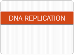 DNA REPLICATION