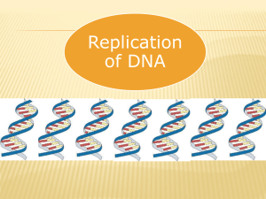 DNA replication - Cloudfront.net