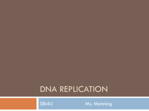 Dna rEPLICATION - Manning's Science