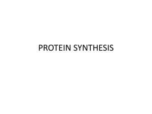 Unit: DNA and PROTEIN SYNTHESIS