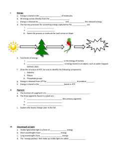 Energy Unit study guide