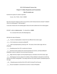 BY 123 SI Session #5 Answer Key Chapter 9: Cellular Respiration