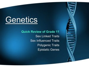 Genetics - MSwiftSRHS