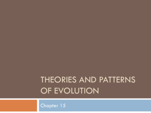 Theories and Patterns of Evolution