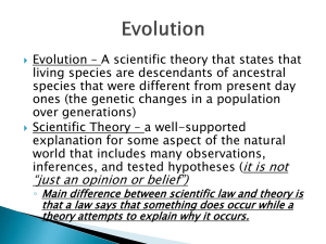 Causes of Evolution