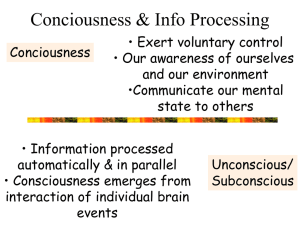 Conciousness & Info Processing