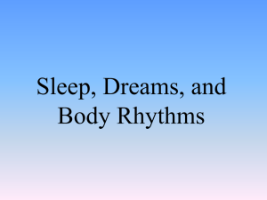 2D Sleep and the Sleep Cycle