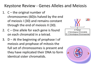Keystone Review - Genes Alleles and Meiosis