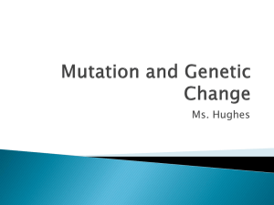 Mutation and Genetic Change